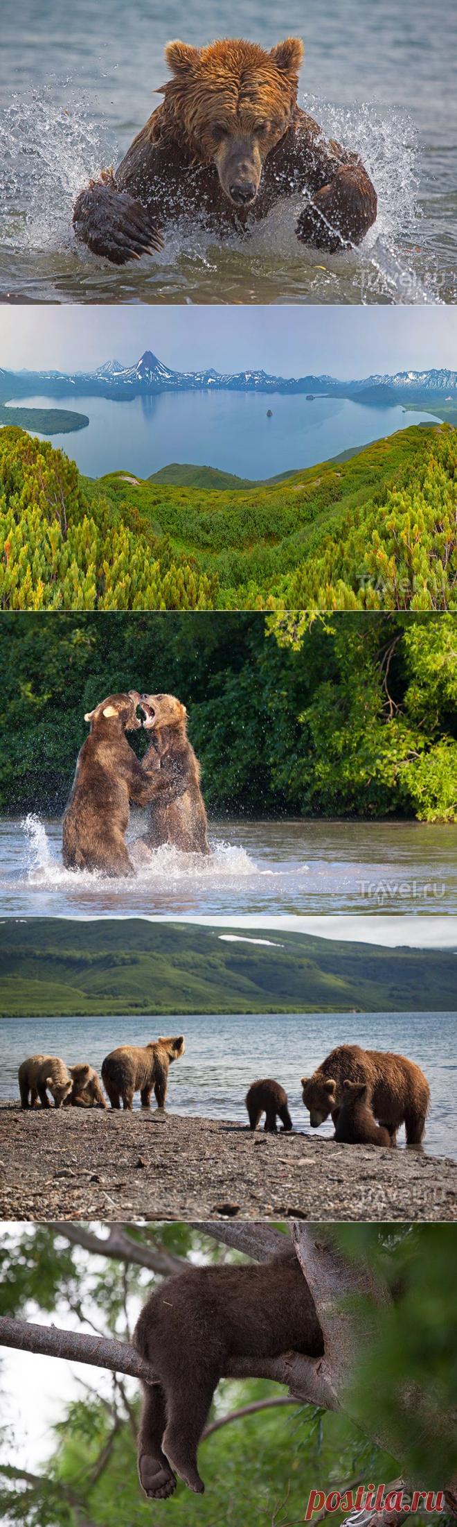 Камчатка. Земля медведей | Города и страны