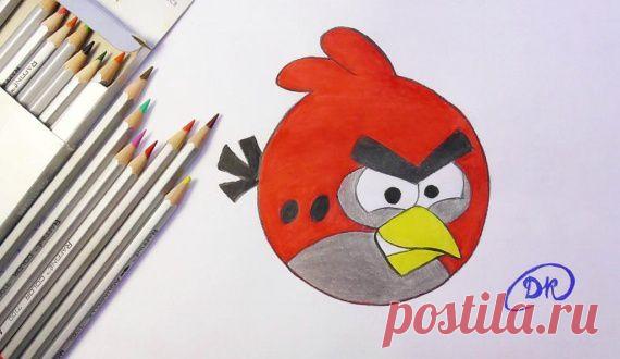 Как нарисовать птичку Angry bird / Другие виды рукоделия / PassionForum - мастер-классы по рукоделию
