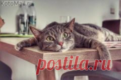 Apskatīt ziņojumu - Inbox Mail