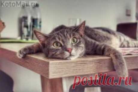 Apskatīt ziņojumu - Inbox Mail