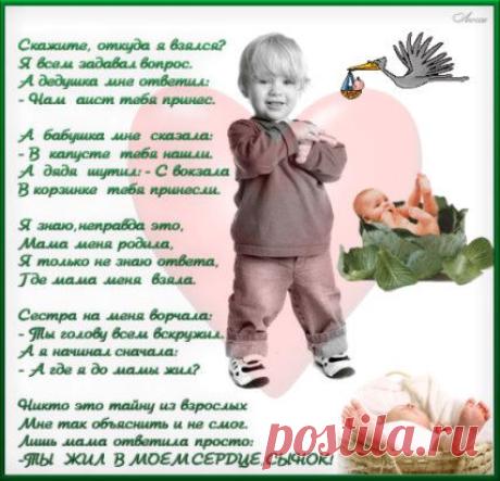 (10) Одноклассники
