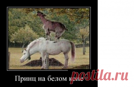 Весёлые картинки - Страница 133