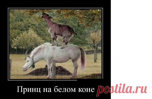 Весёлые картинки - Страница 133