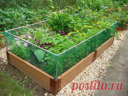 ВЫСОКИЕ ГРЯДКИ - НЕМЕЦКАЯ ТЕХНОЛОГИЯ
Наиболее рациональным и эффективным способом компостирования является так называемая приподнятая грядка. Как же ее создать на своем участке?...http://ogorod.usadbaonline.ru/ru/2014mar/feeding/3046