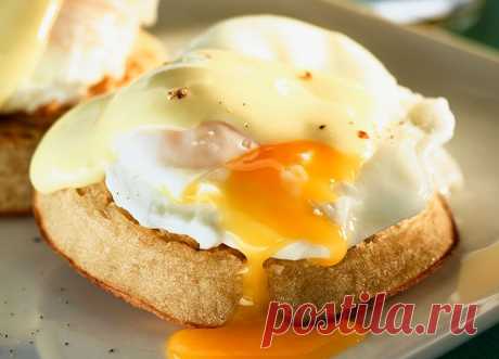 Есть разрешается: жирные продукты, которых можно не бояться