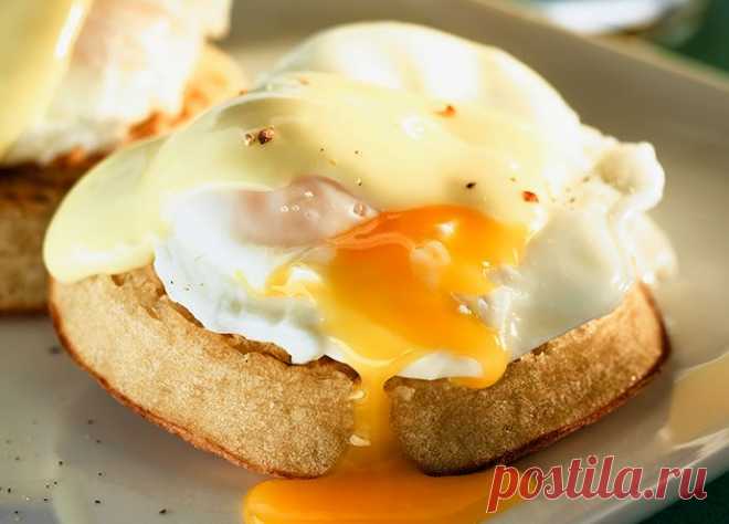 Есть разрешается: жирные продукты, которых можно не бояться