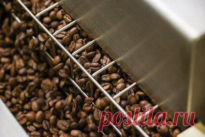 Названы главные поставщики кофе в Россию
