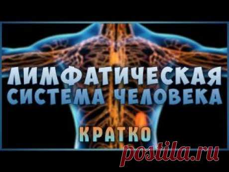 Застой и Очистка Лимфы. Знай и живи!