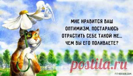 25 оптимистичных цитат Макса Фрая – Фитнес для мозга