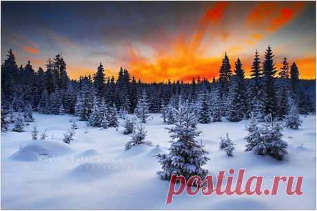 Интересные новости