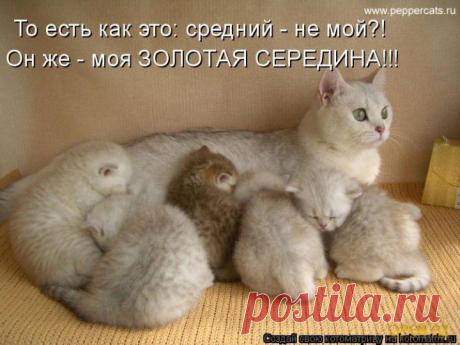 МАМА