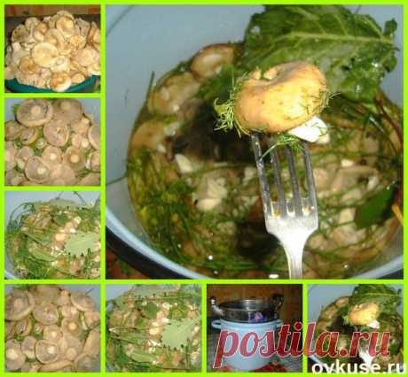 ЗАСОЛКА ГРУЗДЕЙ НА ЗИМУ - Простые рецепты Овкусе.ру