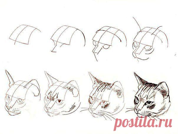 (69) Одноклассники