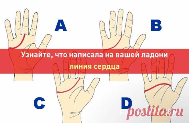 Узнайте, что написала на вашей ладони линия сердца Линия сердца проходит поперек ладони, под указательным и средним пальцем, и доходит до края ладони под мизинцем. Сравните линию сердца на вашей правой руке с теми, что представлены на рисунке.