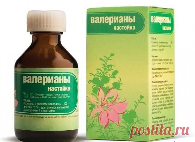 Валерьянка или пустырник: что лучше? Как правильно пить валерьянку и пустырник? - LadySpecial.ru