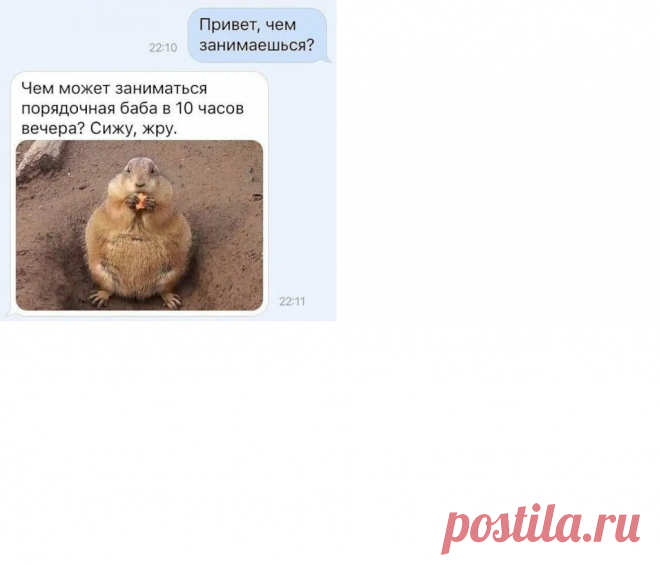 250dbebe.png (1024×876)