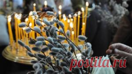 Когда освещать вербу в 2016 году