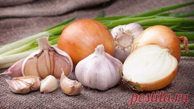 Диетолог назвал снижающие уровень холестерина продукты | Здоровье | MedikForum.ru