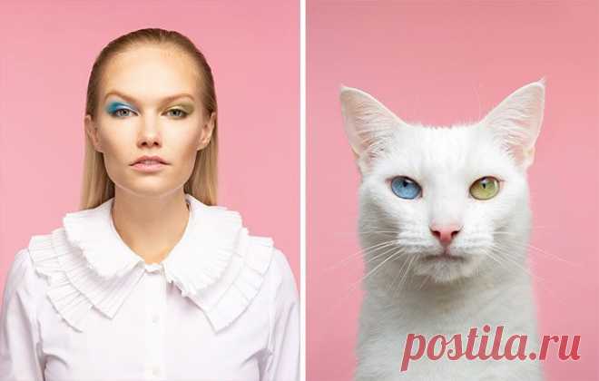 Хозяева и их кошки, которые очень похожи друг на друга / Питомцы