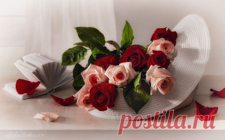 Мой Мир@Mail.Ru