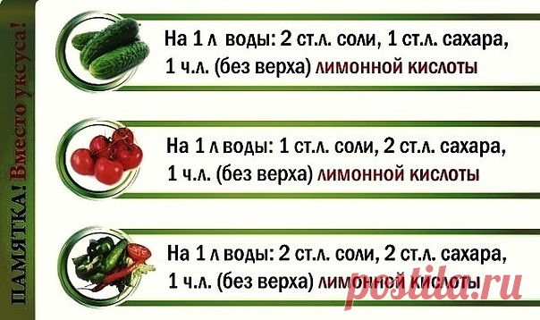 Шпаргалки для конcepвации. Coхраните ceбе, пpигодитcя!