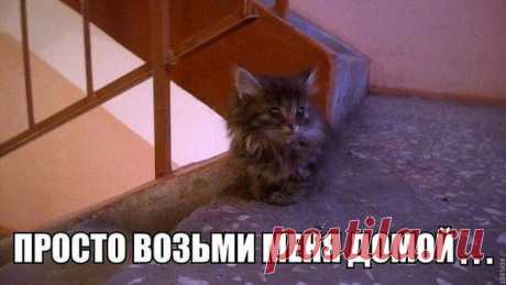 Интересные новости