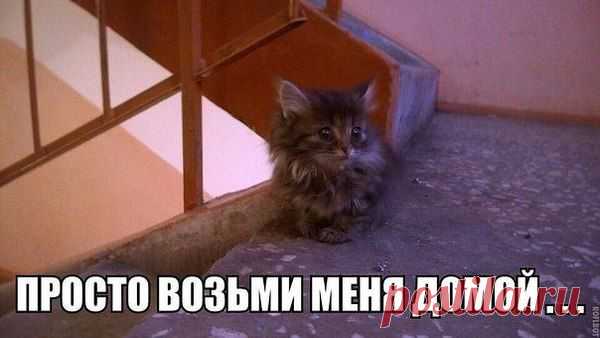 Интересные новости