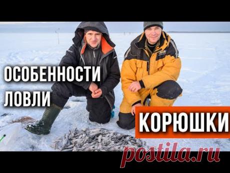 Особенности ловли корюшки