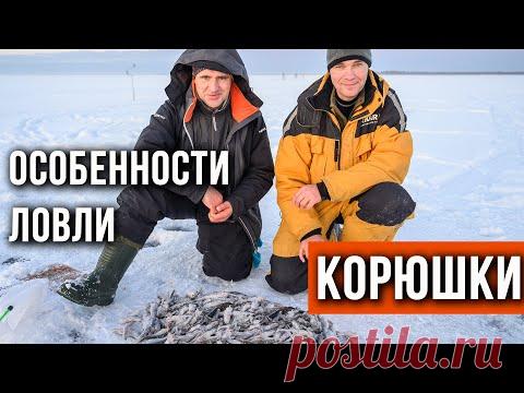 Особенности ловли корюшки
