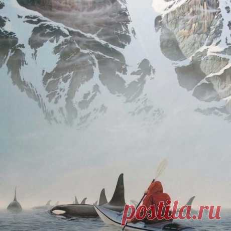 12 заповедей долгожителя
