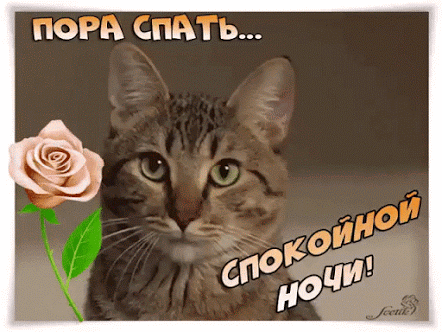 (15) Мой Мир@Mail.Ru