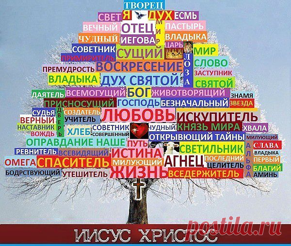 15	Начало премудрости - бояться Бога, и с верными она образуется вместе во чреве. Среди людей она утвердила себе вечное основание и семени их вверится. 
16	Полнота премудрости - бояться Господа; она напояет их от плодов своих: 
17	весь дом их она наполнит всем, чего желают, и кладовые их - произведениями своими. 
18	Венец премудрости - страх Господень, произращающий мир и невредимое здравие; но то и другое - дары Бога, Который распространяет славу любящих Его. 
(кн.Сирахова 1:..)