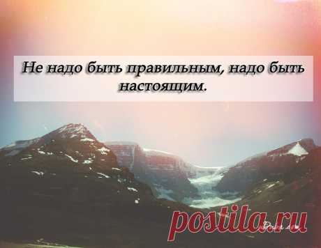 13 цитат о настоящем Смотри-думай-принимай решение...