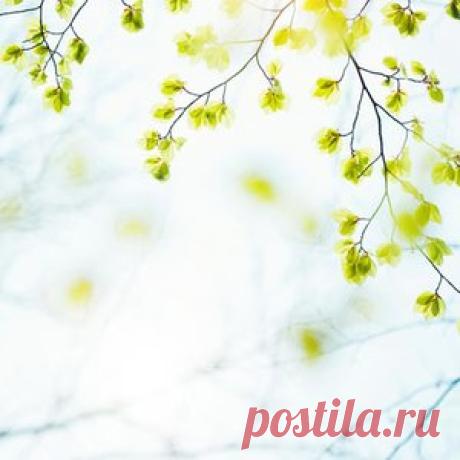 Короткие поздравления с днем рождения