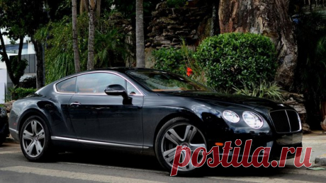 Bentley Continental GT / Только машины