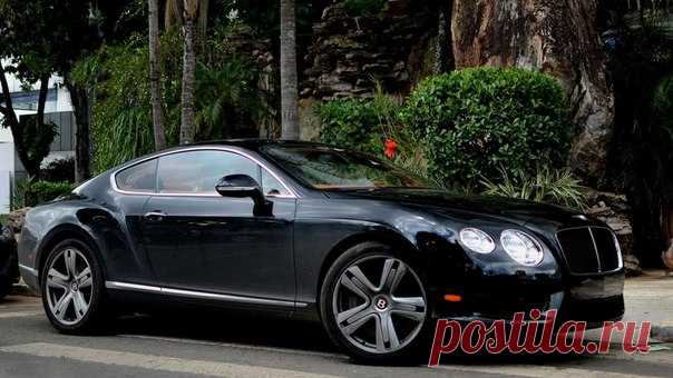 Bentley Continental GT / Только машины