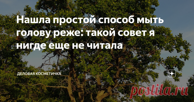 Нашла простой способ мыть голову реже: такой совет я нигде еще не читала Проблема жирной кожи головы в наше время знакома очень многим, есть много факторов, влияющих на это, включая медицинские. Сегодня я не буду сильно углубляться