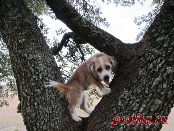 326 – 5 More Sports Idioms | Happy English Podcast Learn English