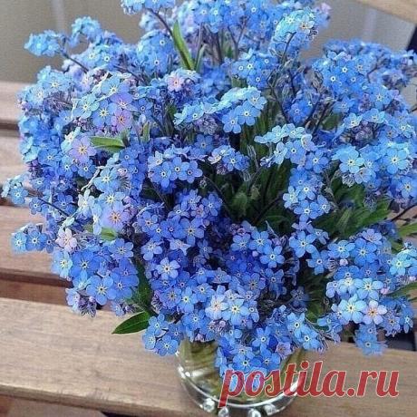 i (736×736)
