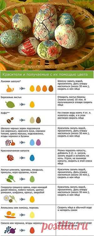 Как окрасить яйца натуральными красителями | Пасха | Само Совершенство