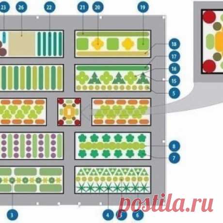 СХЕМА ОВОЩНОЙ КЛУМБЫ ВЫГОДНОГО СОСЕДСТВА - МирТесен