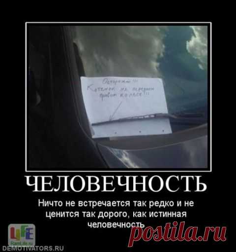 Две истории о "странных" людях | Приколисты