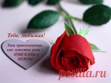 Картинки для любимой (36 фото) ⭐ Забавник