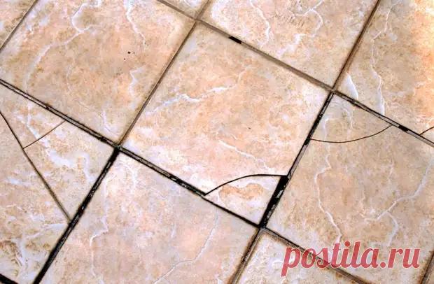 (2) Дача огород - Наш уютный дом - Медиаплатформа МирТесен