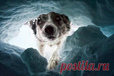 23 самых душевных фотографии, присланных на конкурс National Geographic 2015