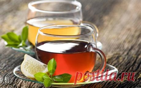 5 рецептов чая для похудения