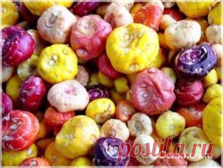 И доживут клубнелуковицы до весны » Селяночка - портал для фермеров, сельское хозяйство, животноводство, птицеводство, пчеловодство, земледелие, рыбоводство, грибоводство, форум фермеров