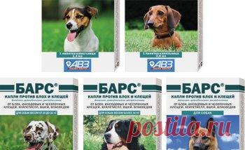Обзор продукции марки Барс: инсектоакарицидные, глазные и ушные капли, спрей