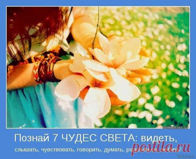 Источник успеха