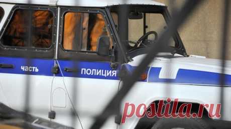 Девушку, плеснувшую зеленку в избирательную урну в Борисоглебске, задержали